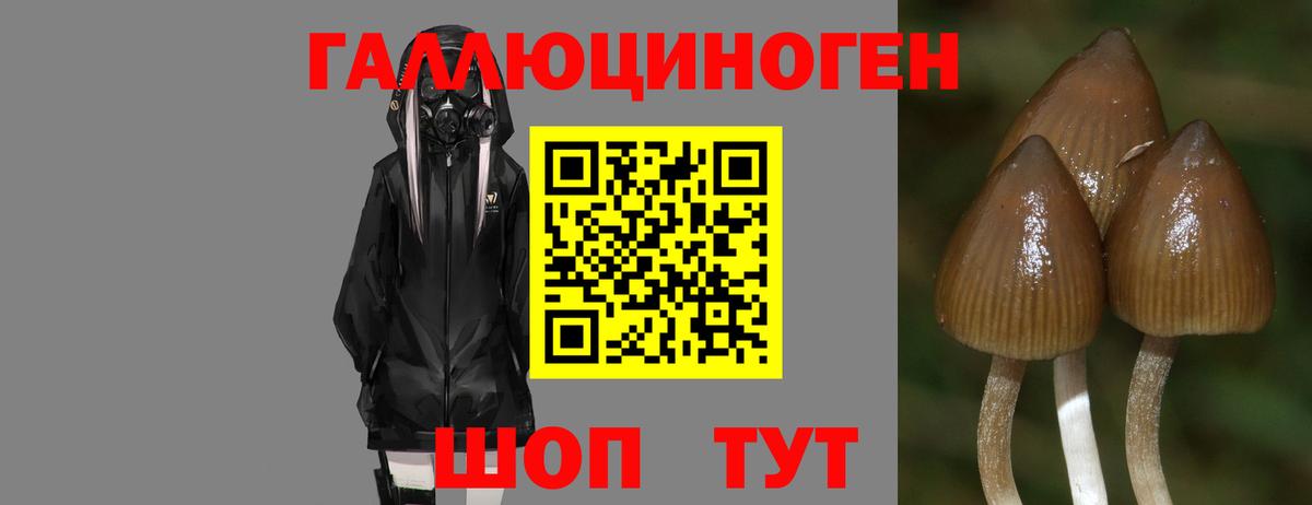 купить наркотики сайты  Вход с VPN  Шарыпово  Псилоцибиновые грибы ЛСД 